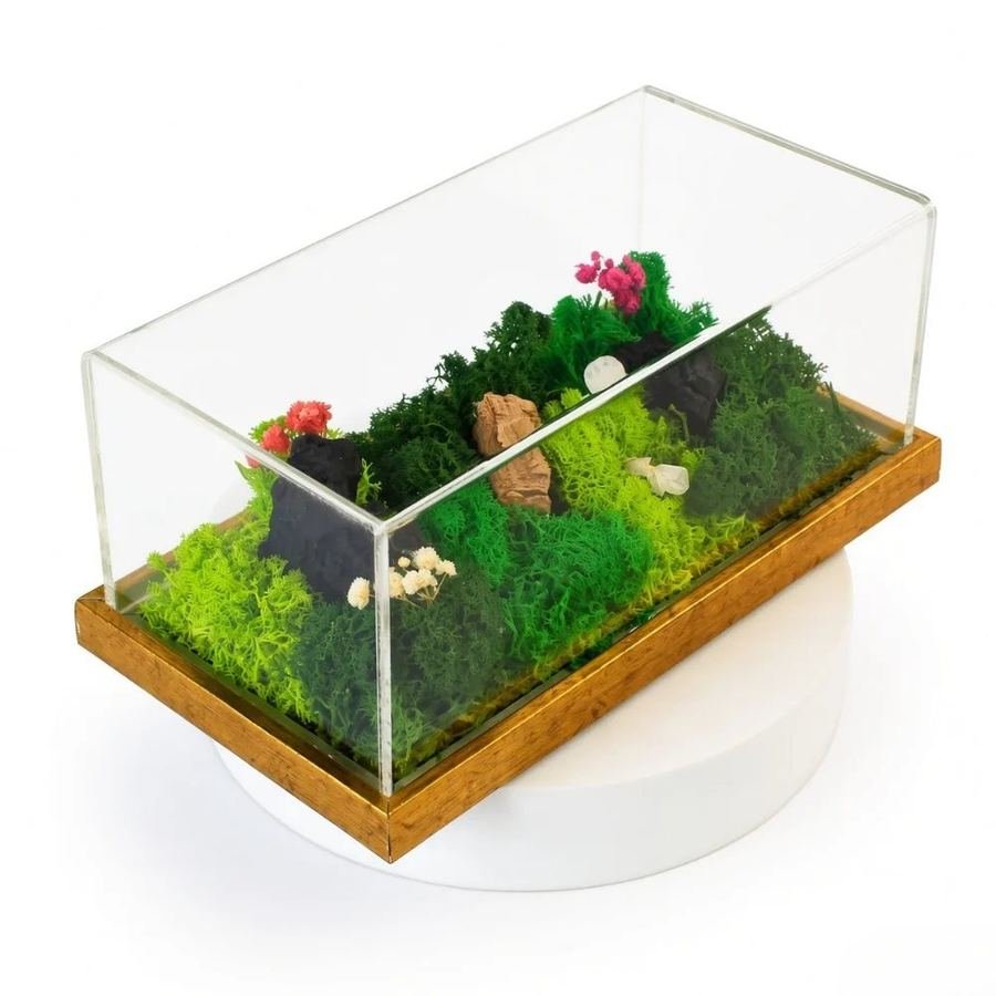 The same terrarium on a gold-toned base