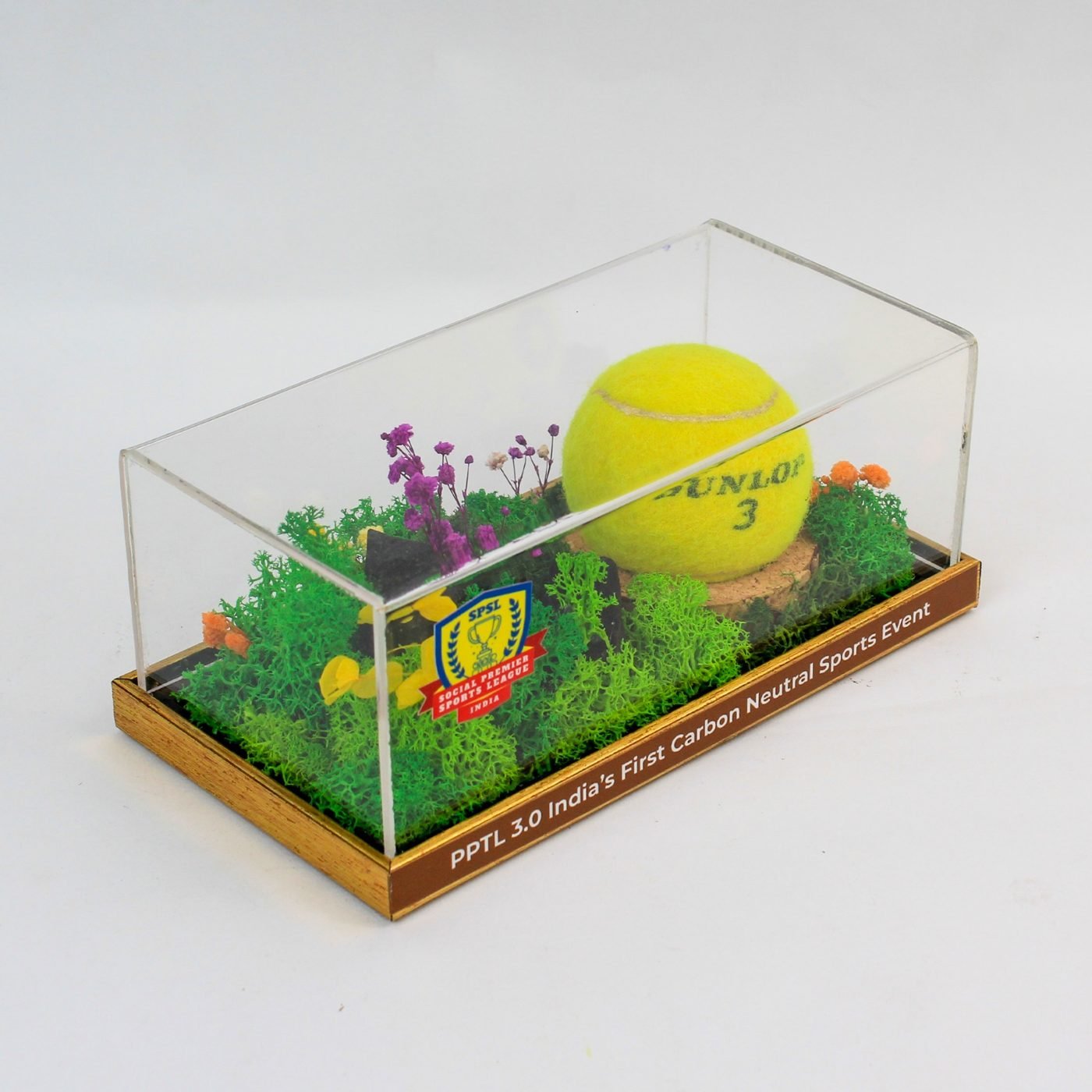 A tennis ball set in a moss landscape under an acrylic cover